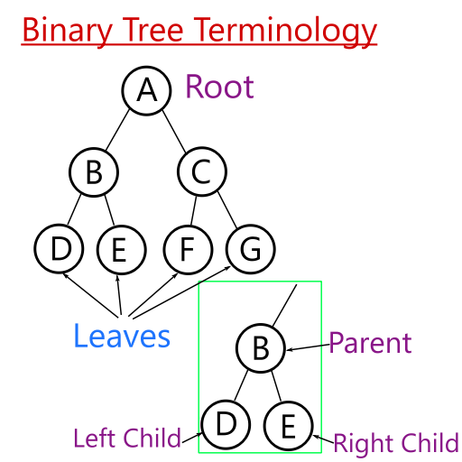 Binary Tree Basics