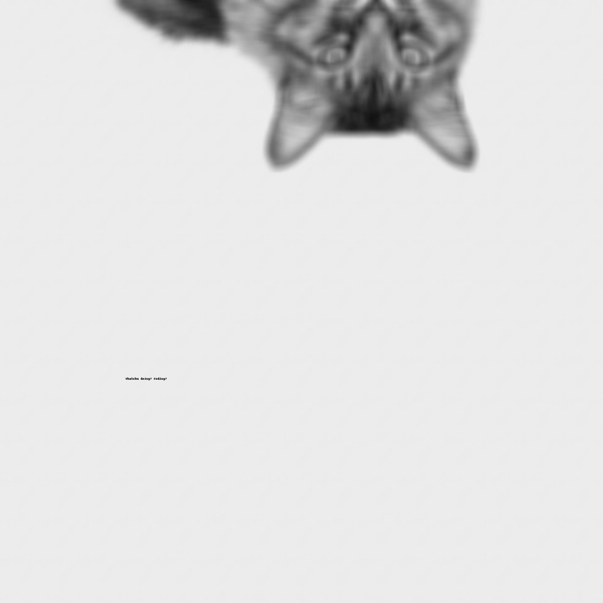 blurred black and white cat upside down with text that says `whatchu doing? coding?`