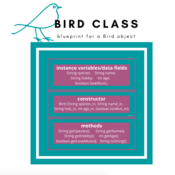 Bird Class blueprint for a Bird object contains instance variables/data fields which include String species, String name, String hobby, int age, and boolean loveMusic, constructor, which requires all 5 variables to be passed in, and methods, including String getSpecies(), String getName(), String getHobby(), int getAge(), boolean getLoveMusic(), and String toString().