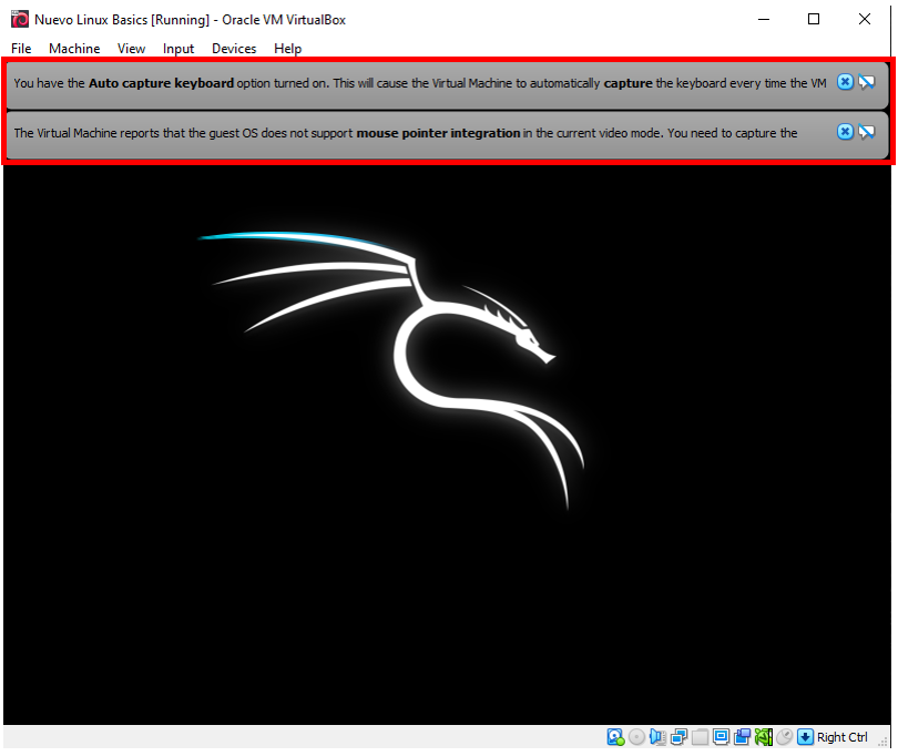virtual box kali warnings