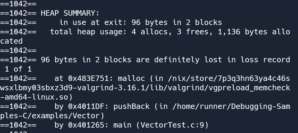 Captura de tela do erro no console com o texto 'HEAP SUMMARY: in use at exit: 96 bytes in 2 blocks... 96 bytes in 2 blocks are definitely lost in loss record...' Erro Valgrind 3