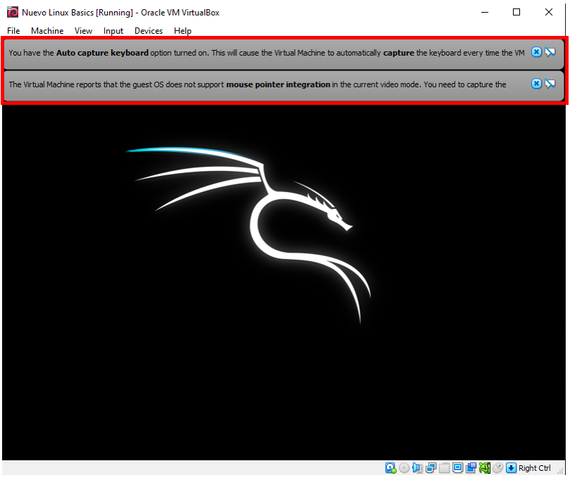 avios na virtual box - kali