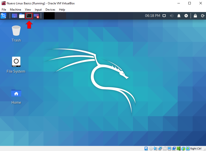 encontrando o terminal no kali
