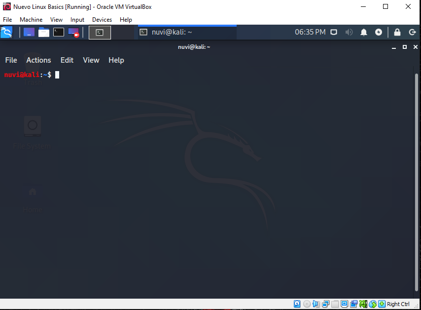 terminal aberto no kali terminal