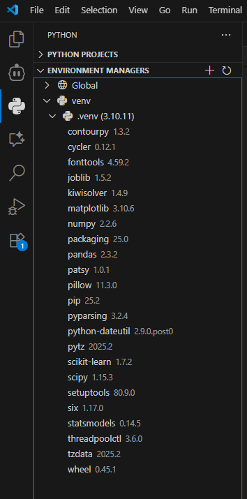 Virtual environment created and selected